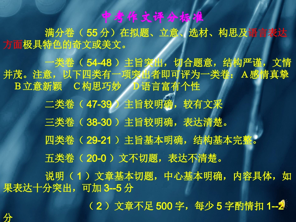 靓出你的语言_第1页