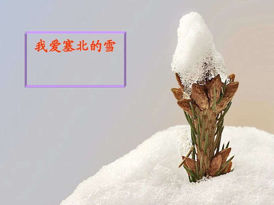 《我爱你-塞北的雪》课件_第1页