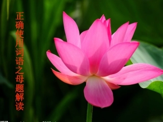 正确使用词语之母题解读