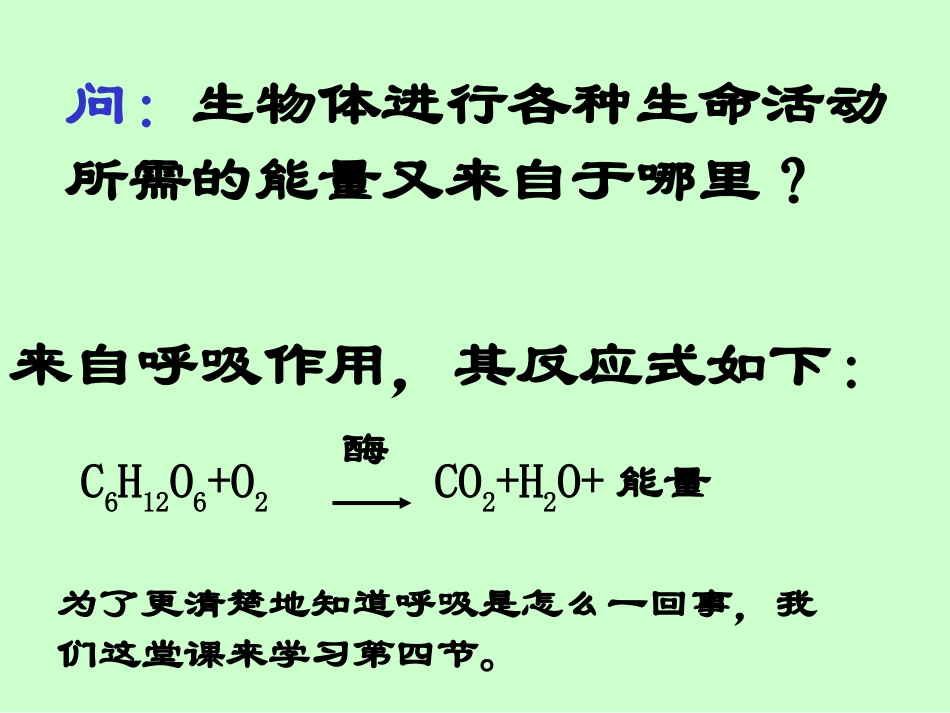 生物的呼吸与呼吸作用(1)_第2页