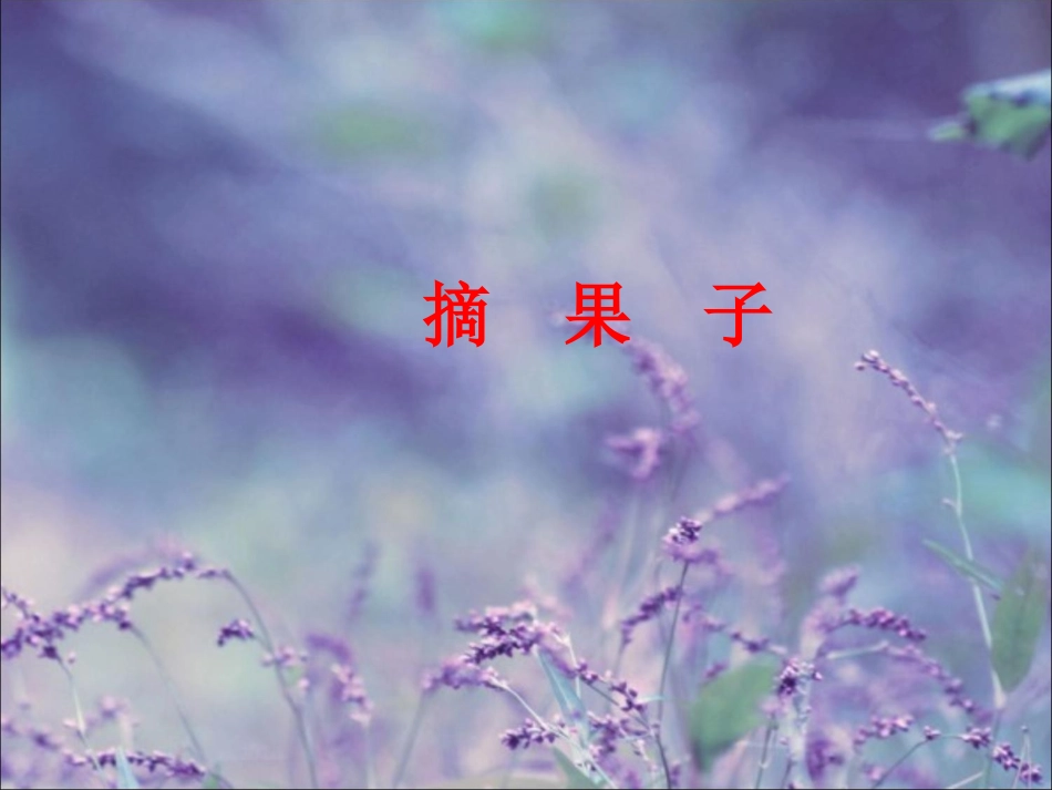 《摘果子》课件1_第1页