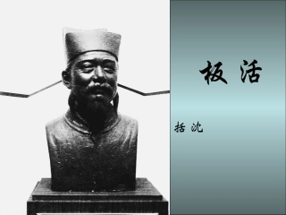 《活板》课件(苏教版八年级下)
