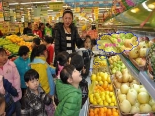 分类和整理课件(3)1