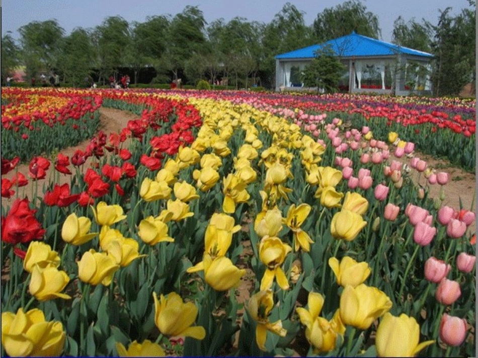 牧场之国课件_第3页