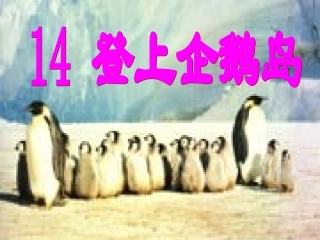 14.1登上企鹅岛