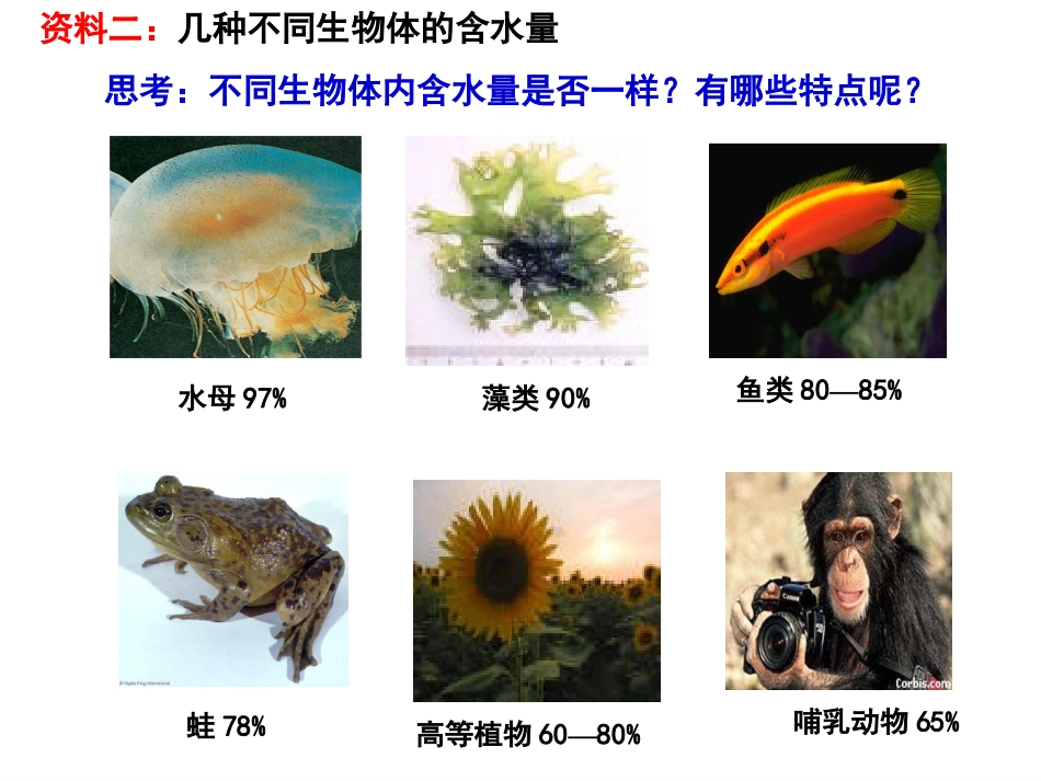 第5节细胞中的无机物_第3页