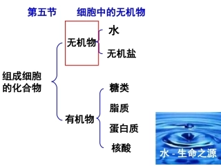 第5节细胞中的无机物