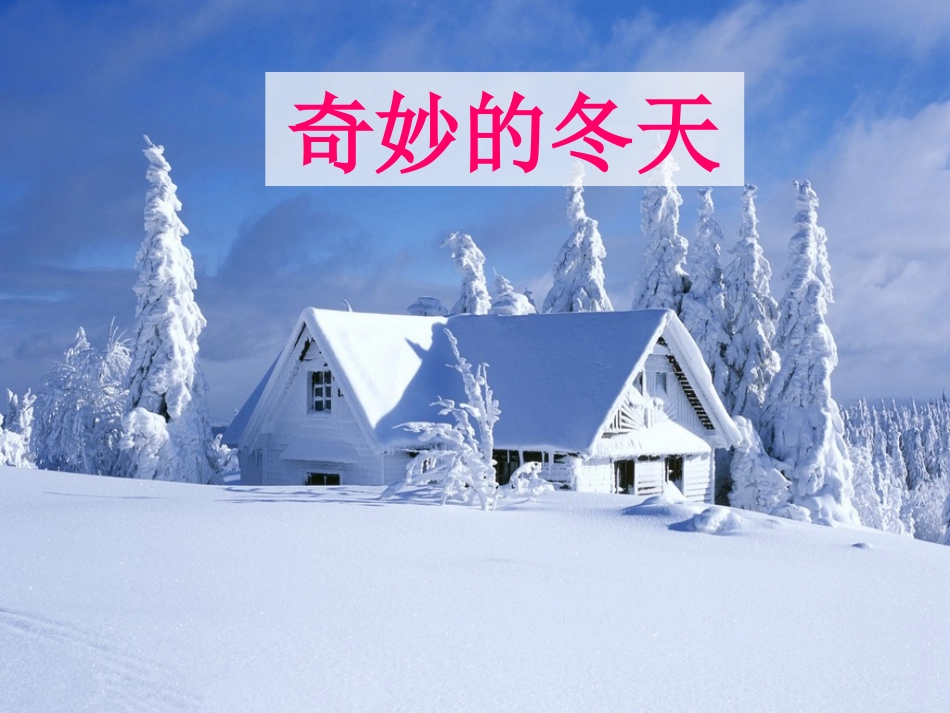 《奇妙的冬天》课件2_第1页