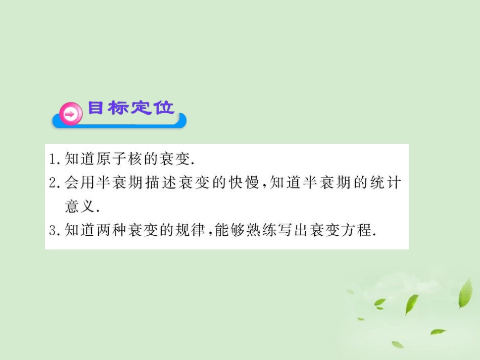 高中物理19.2放射性元素的衰变_第2页