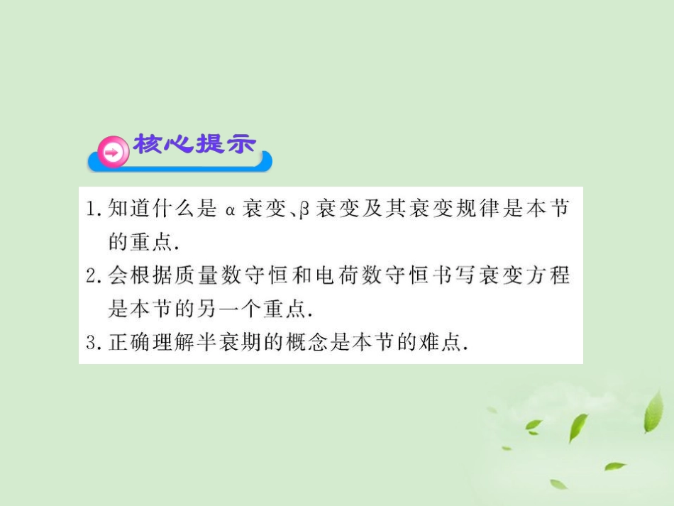高中物理19.2放射性元素的衰变_第3页
