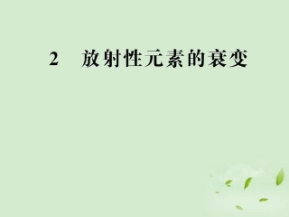 高中物理19.2放射性元素的衰变