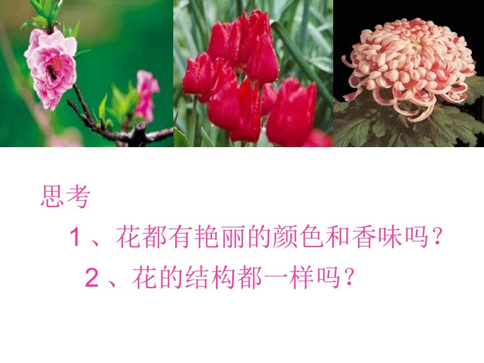 开花和结果PPT1_第2页