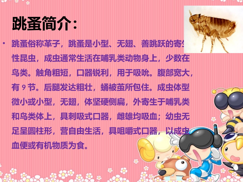 《跳蚤之歌》课件_第3页