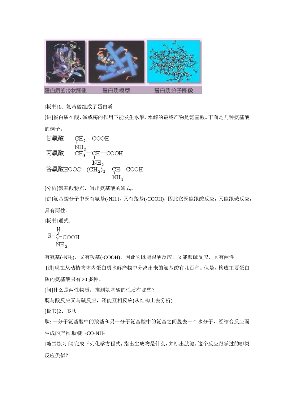 《1-1-生命的基础—蛋白质第一课时》教案5_第2页