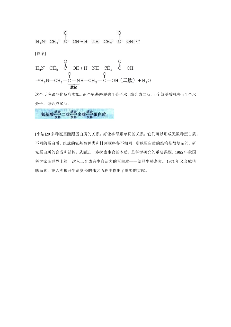 《1-1-生命的基础—蛋白质第一课时》教案5_第3页