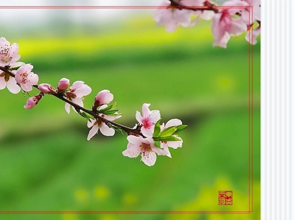 (部编)初中语文人教2011课标版七年级上册第二课时-(4)_第1页