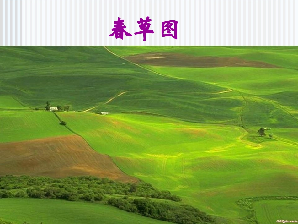 (部编)初中语文人教2011课标版七年级上册第二课时-(4)_第2页