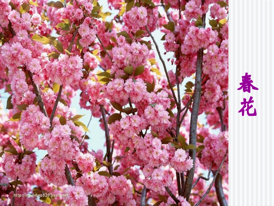 (部编)初中语文人教2011课标版七年级上册第二课时-(4)_第3页