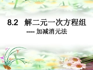 《解二元一次方程组——加减消元法》