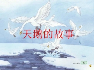 天鹅的故事-(2)