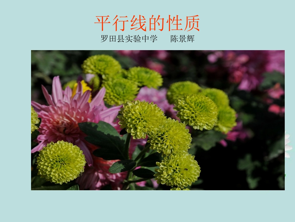 平行线的性质_第1页