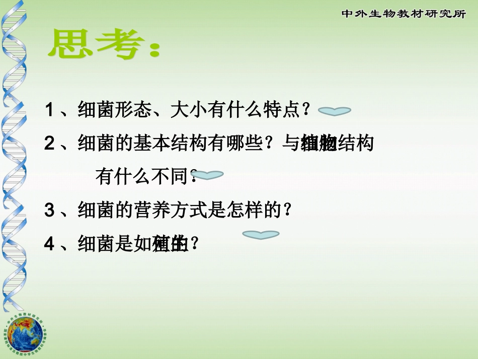 14-3神奇的微生物_第3页