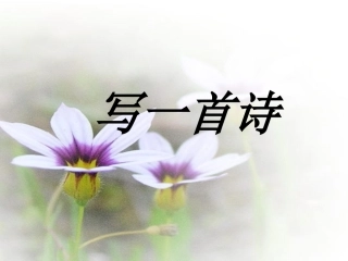 《写一首诗》课件1