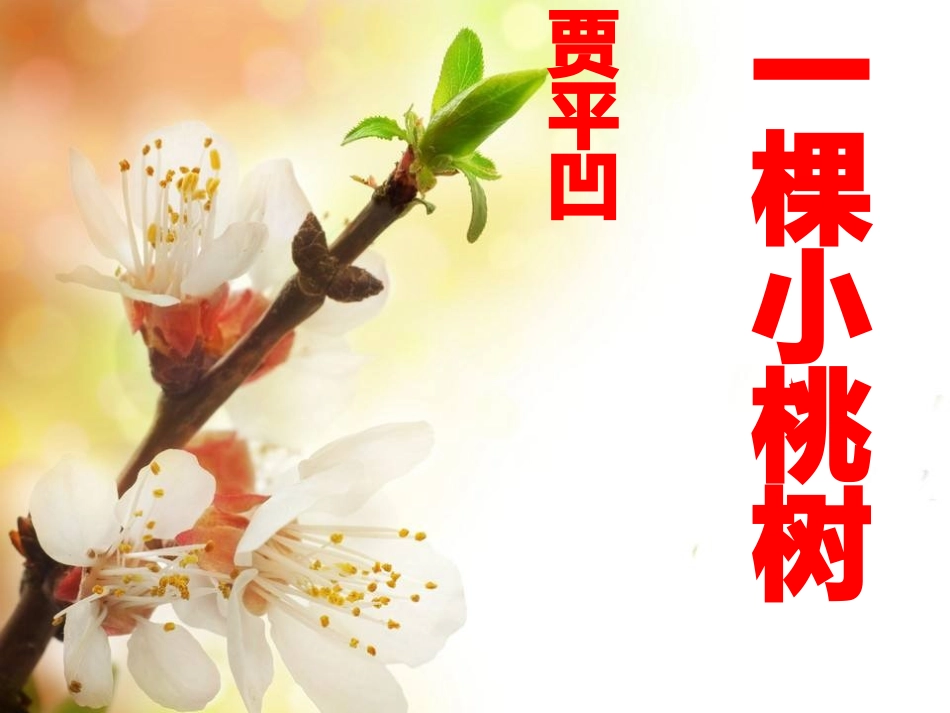 (部编)初中语文人教2011课标版七年级下册人教版七年级下第五单元《一棵小桃树》课件_第1页