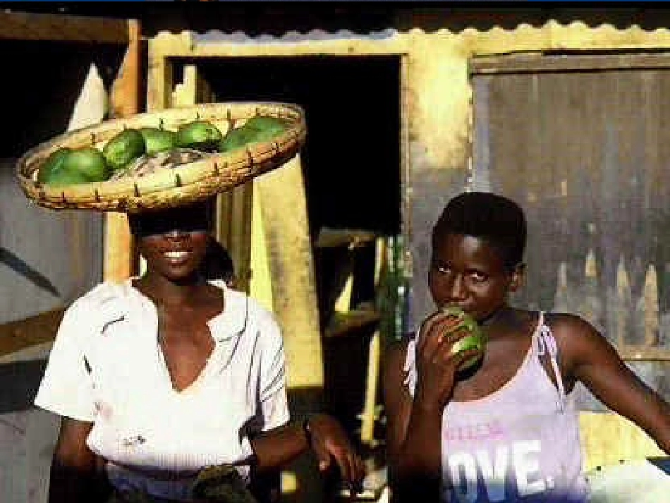 第二节黑种人的故乡-撒哈拉发南的非洲课件-粤教版_第1页