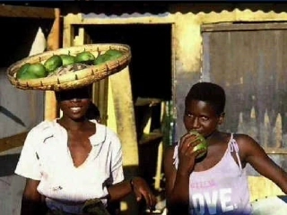 第二节黑种人的故乡-撒哈拉发南的非洲课件-粤教版