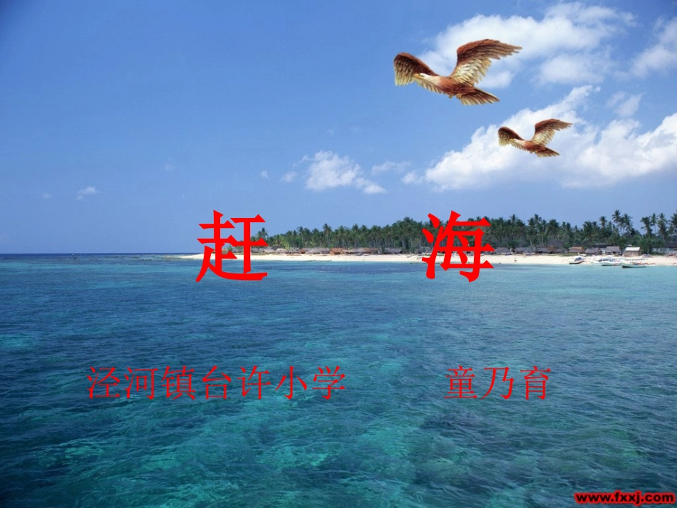《赶海》ppt课件[1]_第1页