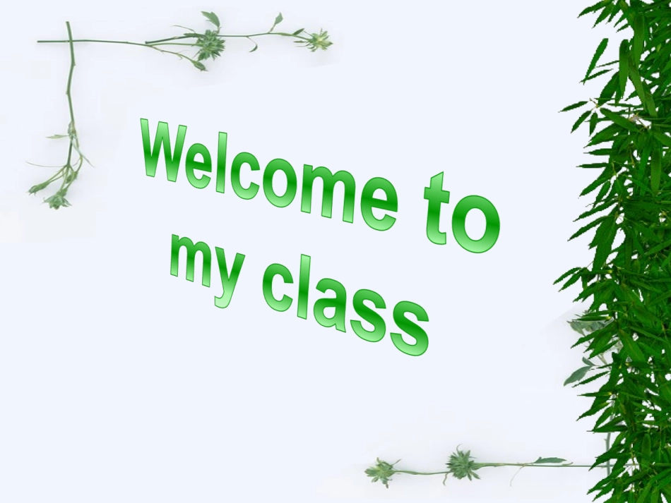 定语从句NEW_第1页