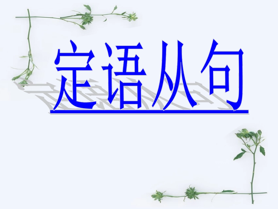 定语从句NEW_第2页