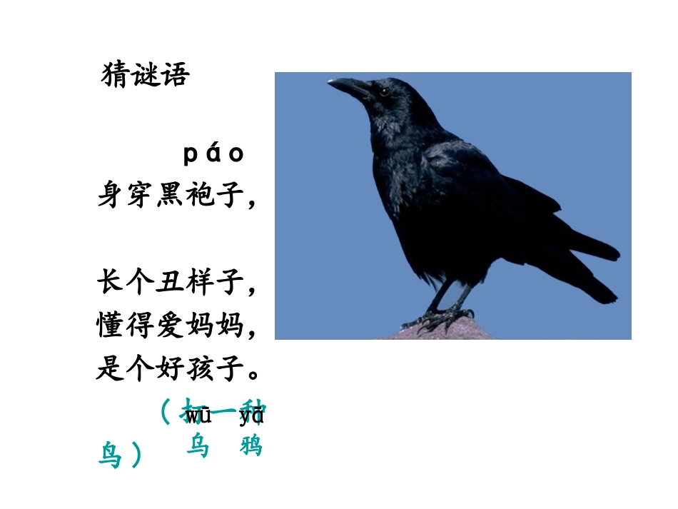 19《乌鸦喝水》_第1页