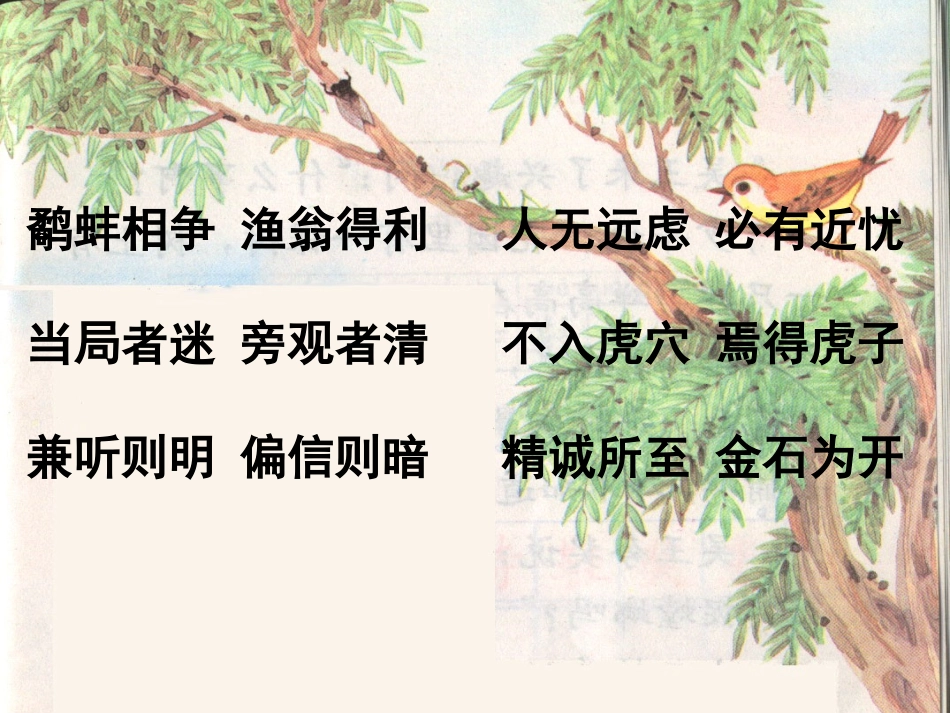 《螳螂捕蝉》课件_第2页