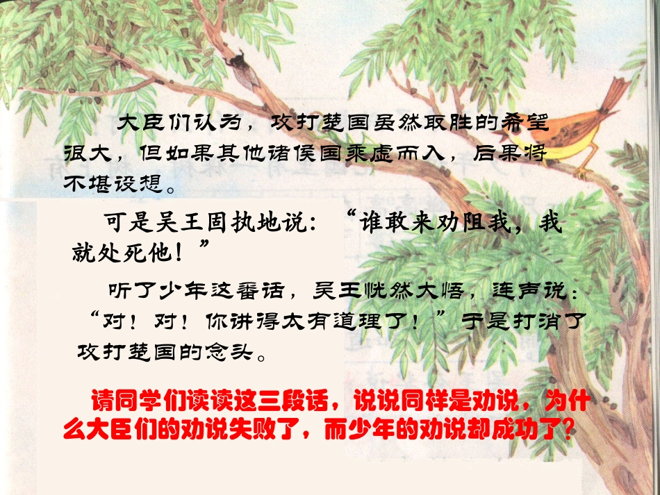 《螳螂捕蝉》课件_第3页