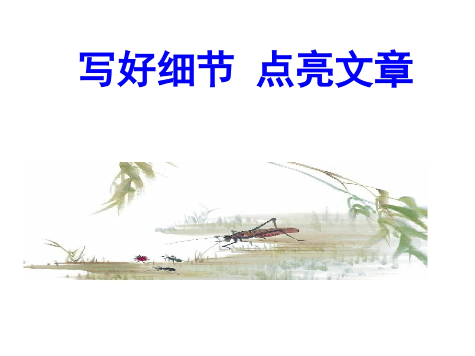 中考语文-作文指导写好细节点亮文章课件_第1页