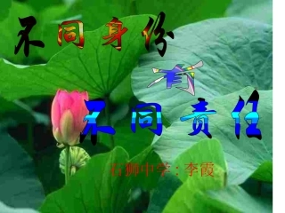 社会身份与社会责任
