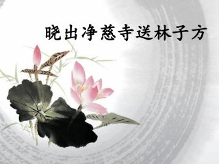 晓出净慈寺送林子方