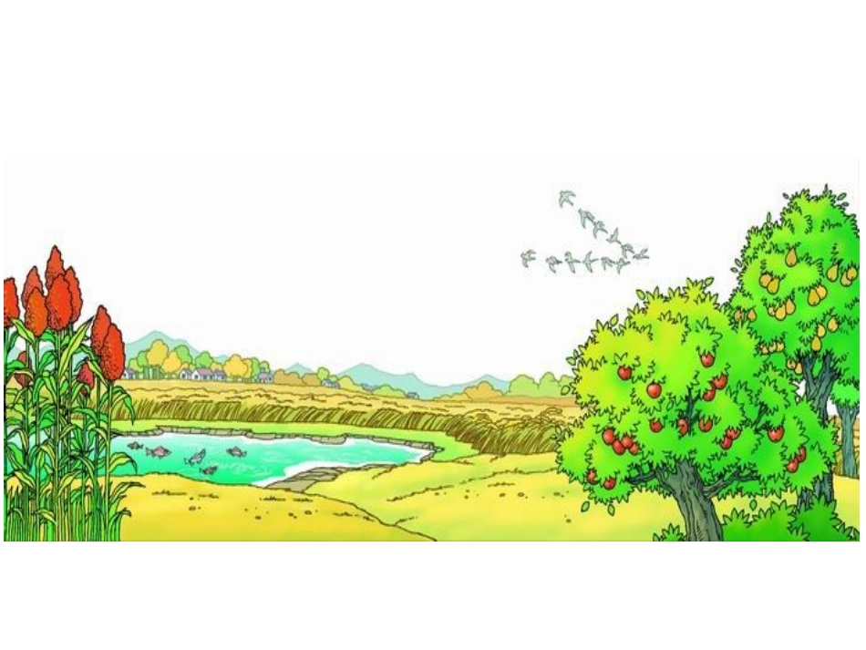 1.秋天的图画_第3页