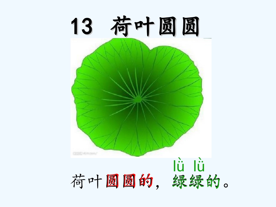 (部编)人教语文2011课标版一年级下册13--荷叶圆圆--(第一课时)_第2页