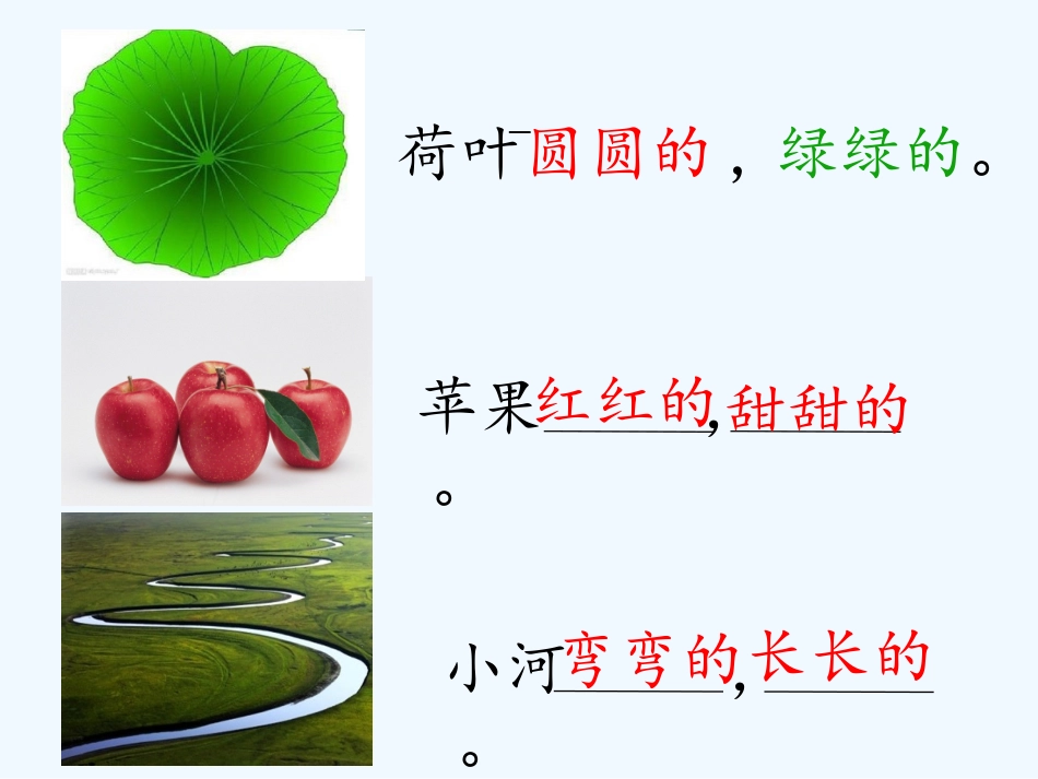 (部编)人教语文2011课标版一年级下册13--荷叶圆圆--(第一课时)_第3页