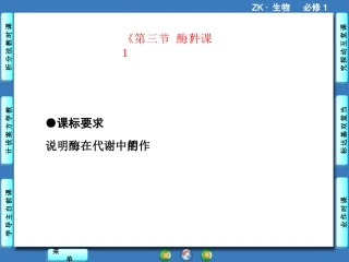 《第三节-酶》课件1