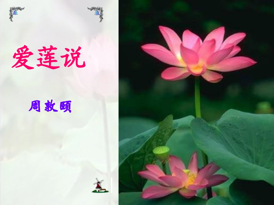 《爱莲说》课件.-爱莲说_第1页