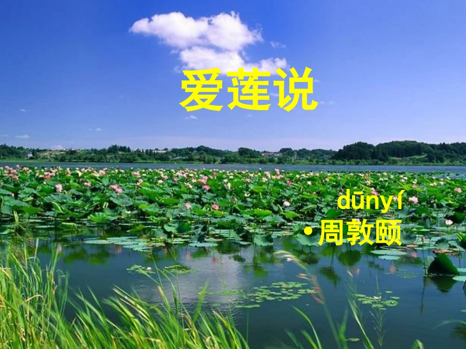 葫芦岛市建昌县巴什罕中学张春莉爱莲说_第1页