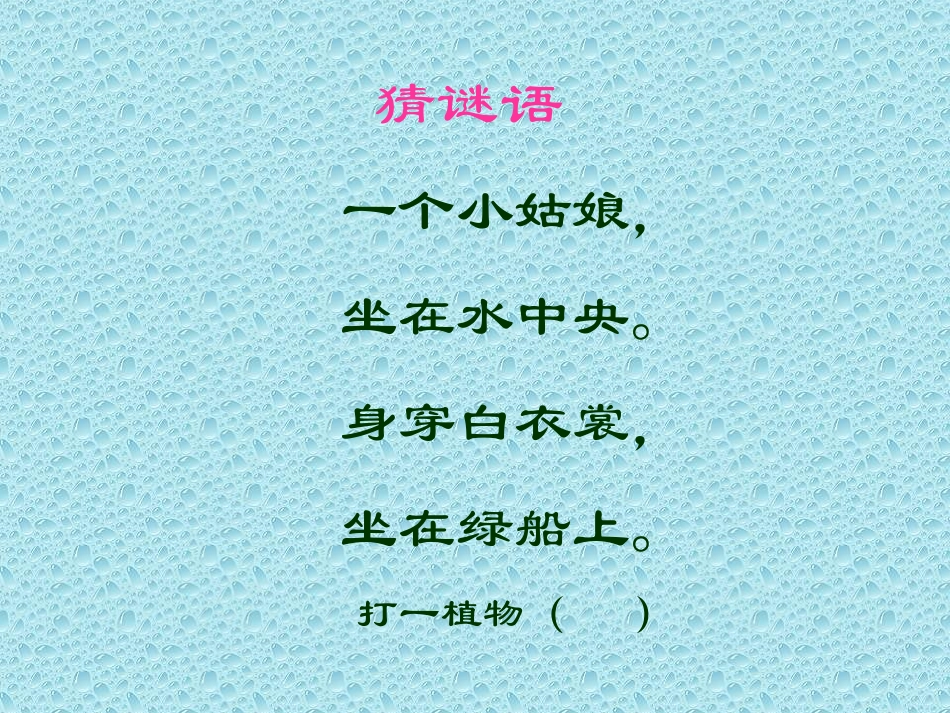 3、《荷花》PPT课件_第1页