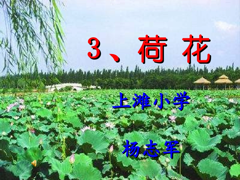 3、《荷花》PPT课件_第2页