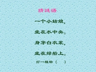3、《荷花》PPT课件