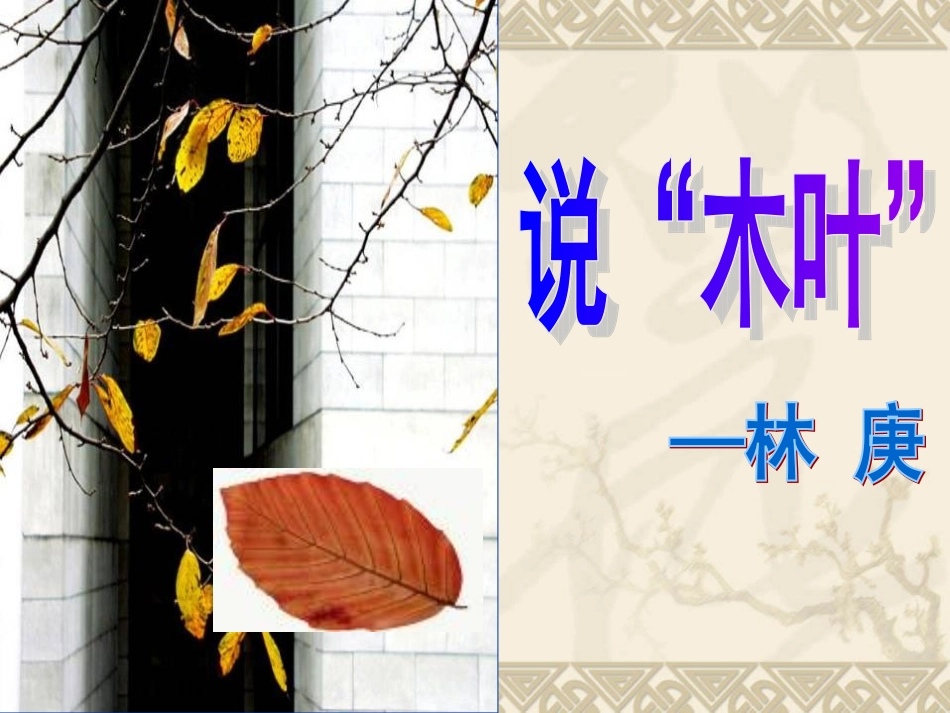 说木叶(用)_第3页