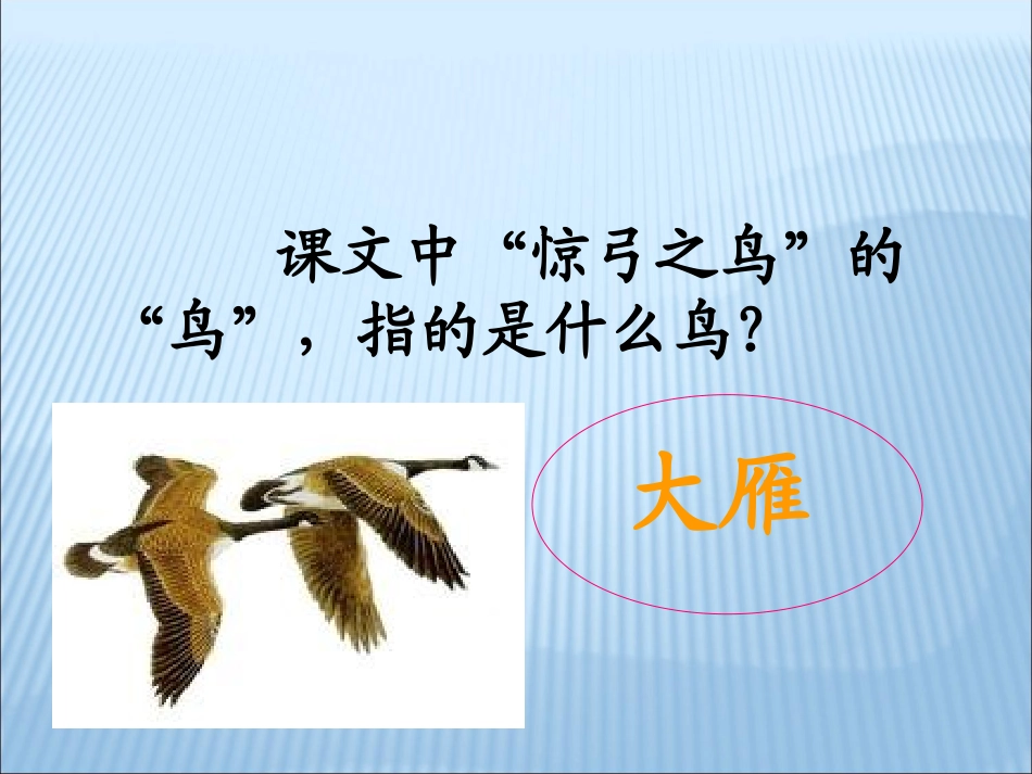 件课惊弓之鸟_第3页